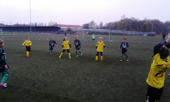 FK Ostrov - FK Baník Sokolov 2004 1