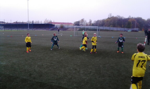 FK Ostrov - FK Baník Sokolov 2004 2