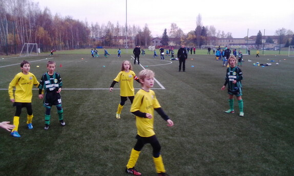 FK Ostrov - FK Baník Sokolov 2004 3